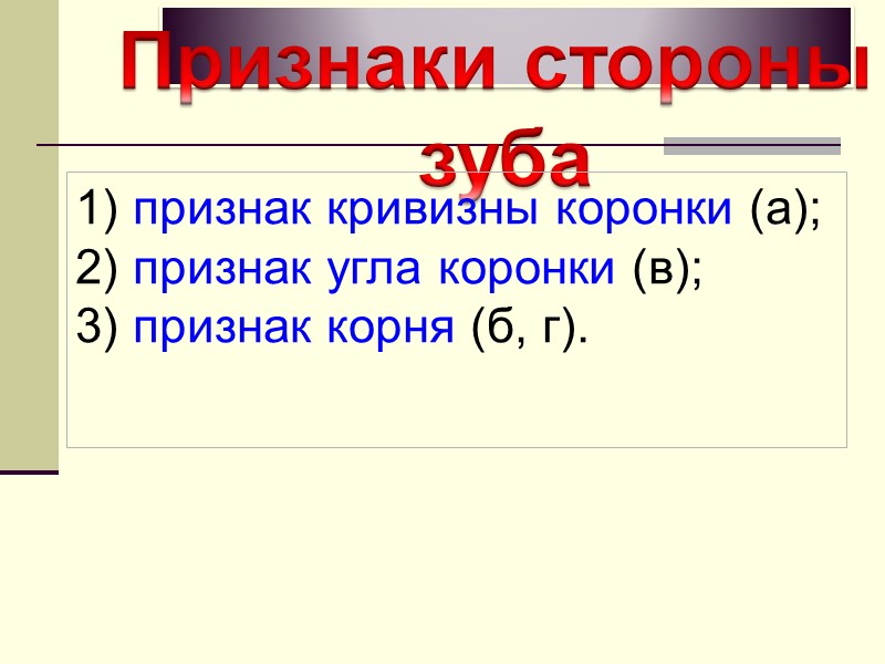 Признаки стороны  зуба 1) признак кривизны коронки (а);  2) признак угла коронки